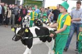 Ósma edycja Agro-Targów za nami