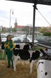 Ósma edycja Agro-Targów za nami