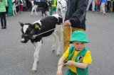 Ósma edycja Agro-Targów za nami