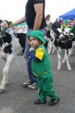 Ósma edycja Agro-Targów za nami