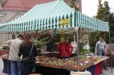 Ósma edycja Agro-Targów za nami