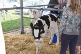 Ósma edycja Agro-Targów za nami