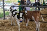 Ósma edycja Agro-Targów za nami