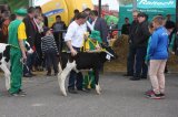 Ósma edycja Agro-Targów za nami