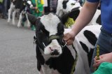 Ósma edycja Agro-Targów za nami
