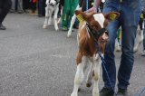Ósma edycja Agro-Targów za nami