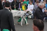 Ósma edycja Agro-Targów za nami