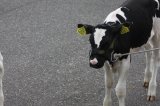 Ósma edycja Agro-Targów za nami