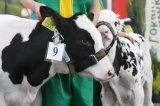 Ósma edycja Agro-Targów za nami