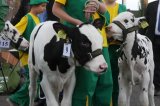 Ósma edycja Agro-Targów za nami