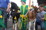 Ósma edycja Agro-Targów za nami