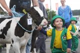 Ósma edycja Agro-Targów za nami