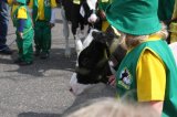 Ósma edycja Agro-Targów za nami