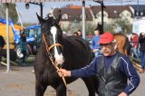 Palmowe agro-targi
