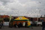 Palmowe agro-targi