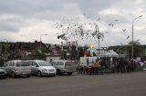 Palmowe agro-targi