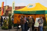 Palmowe agro-targi