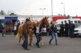 Palmowe agro-targi
