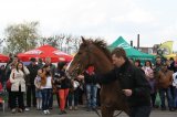 Palmowe agro-targi