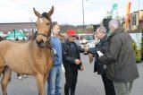 Palmowe agro-targi
