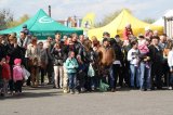 Palmowe agro-targi