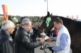 Palmowe agro-targi