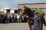 Palmowe agro-targi