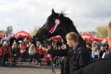 Palmowe agro-targi