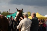 Palmowe agro-targi