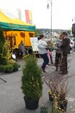 Palmowe agro-targi