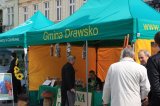 Agro-Targi ożywiły czarnkowski rynek