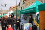 Agro-Targi ożywiły czarnkowski rynek