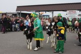 Agro-Targi ożywiły czarnkowski rynek
