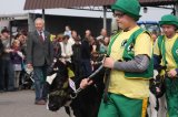 Agro-Targi ożywiły czarnkowski rynek