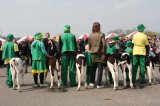 Agro-Targi ożywiły czarnkowski rynek