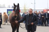 Agro-Targi ożywiły czarnkowski rynek