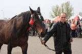 Agro-Targi ożywiły czarnkowski rynek