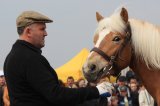 Agro-Targi ożywiły czarnkowski rynek