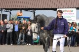 Agro-Targi ożywiły czarnkowski rynek