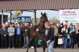 Agro-Targi ożywiły czarnkowski rynek
