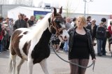 Agro-Targi ożywiły czarnkowski rynek