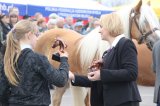 Agro-Targi ożywiły czarnkowski rynek