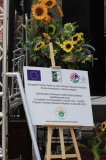 Agro-Targi ożywiły czarnkowski rynek
