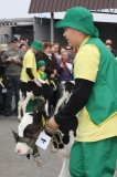 Agro-Targi ożywiły czarnkowski rynek