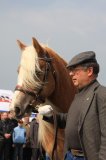 Agro-Targi ożywiły czarnkowski rynek