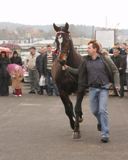 Agro-Targi 2008 Czarnków
