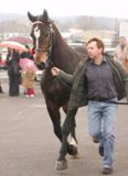 Agro-Targi 2008 Czarnków