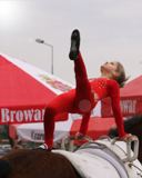 Agro-Targi 2008 Czarnków
