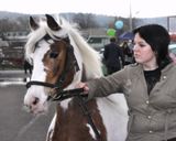 Agro-Targi 2008 Czarnków
