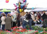 Agro-Targi 2008 Czarnków